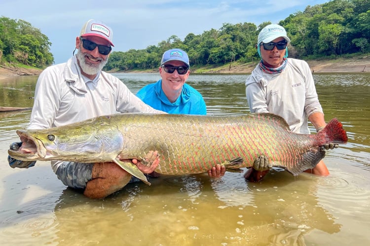 Paiche, el pez más grande de la Amazonía
