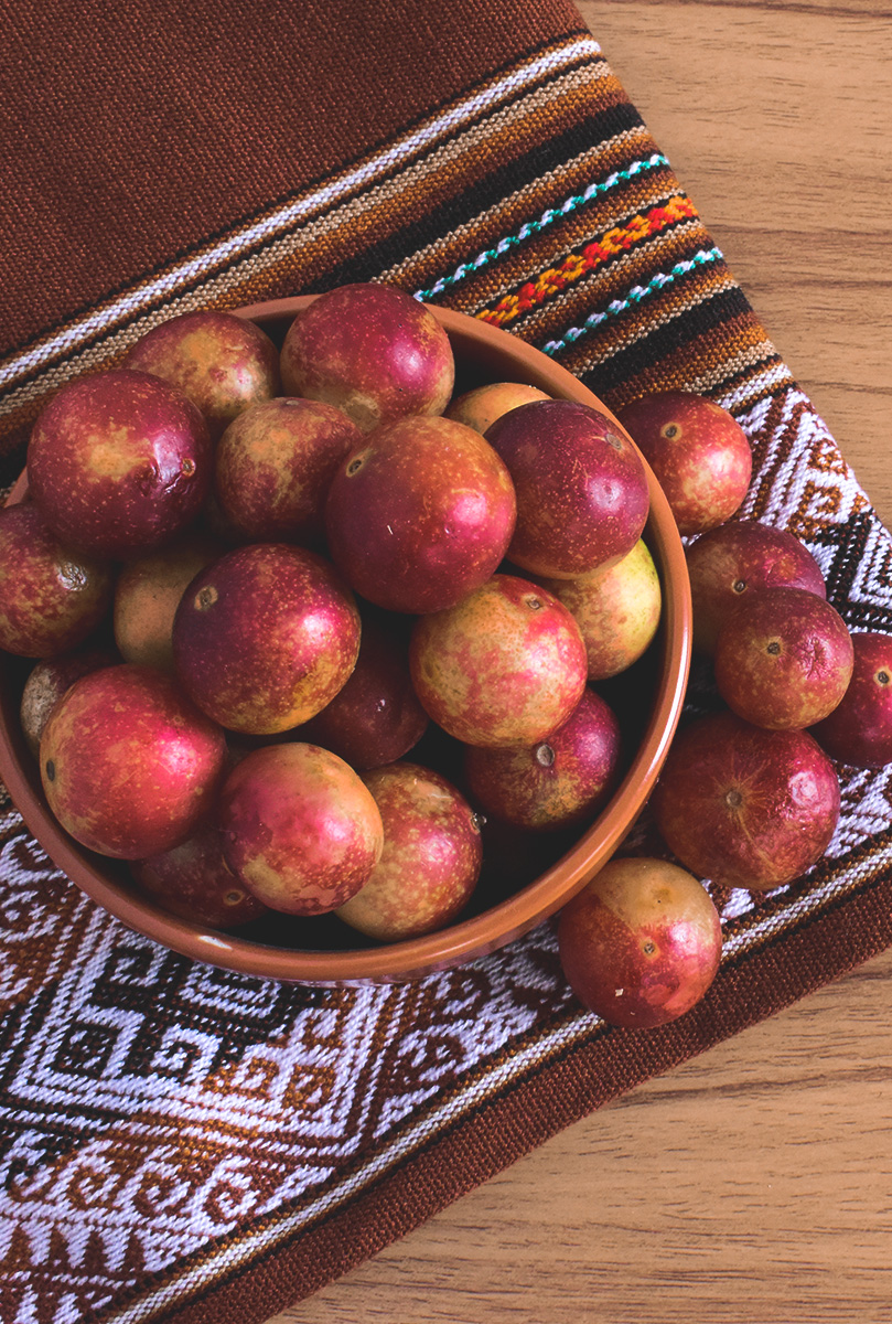 Cosecha agroforestal de camu camu