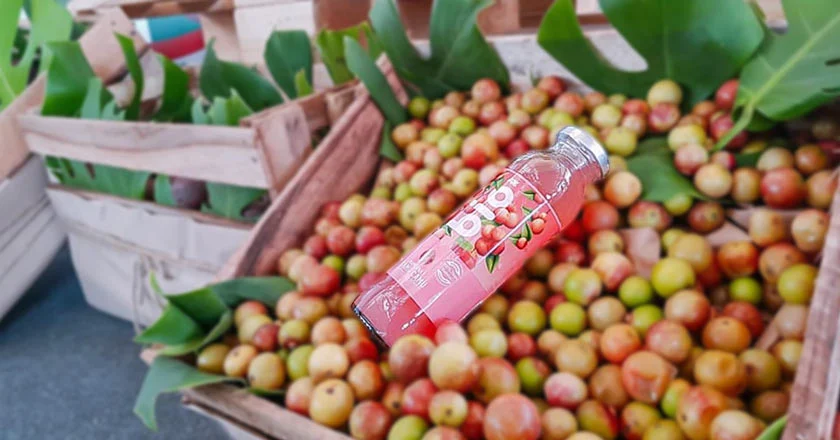 Camu camu recién cosechado, listo para su pulpa